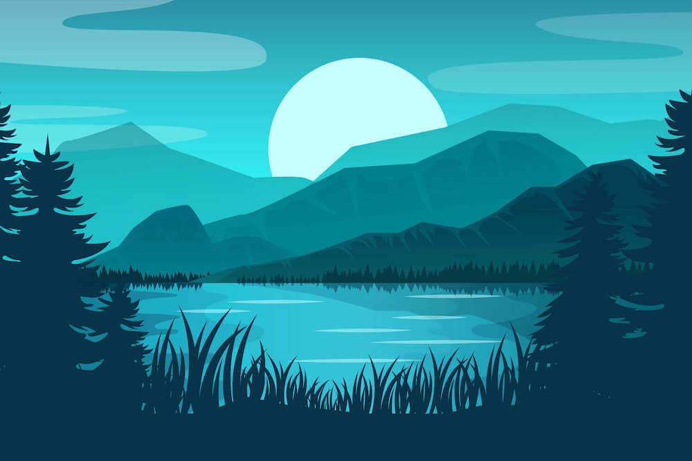 a cover image